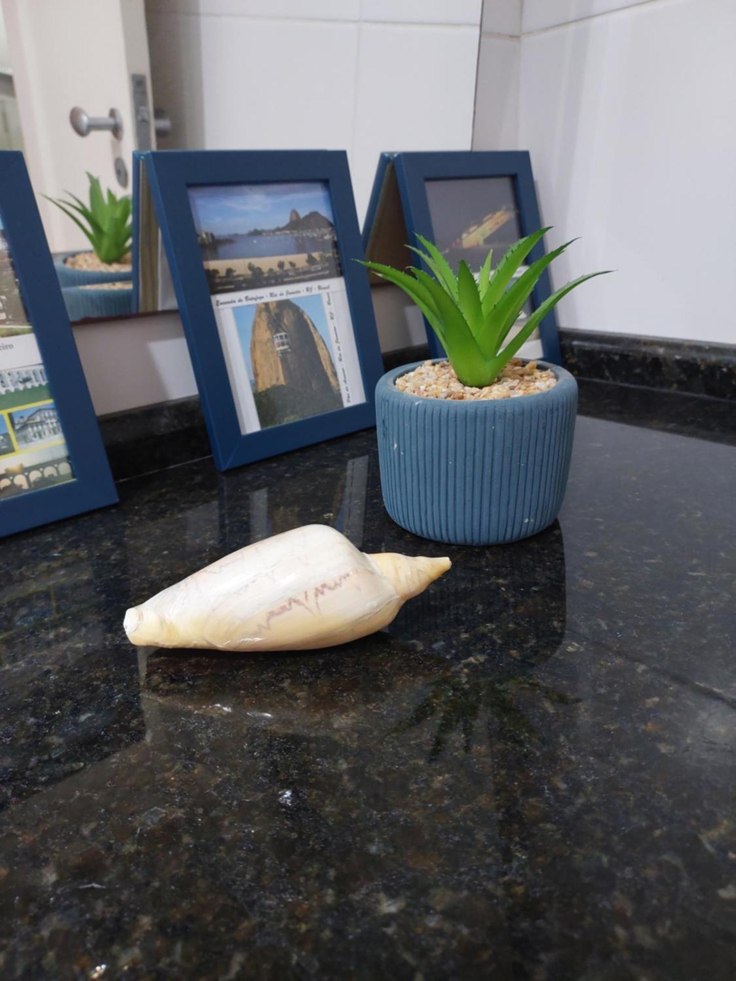 Ipanema Posto8 Com 1Quarto E 1Mesanino Flat40M2 Rua Hotel Fasano Ρίο ντε Τζανέιρο Εξωτερικό φωτογραφία